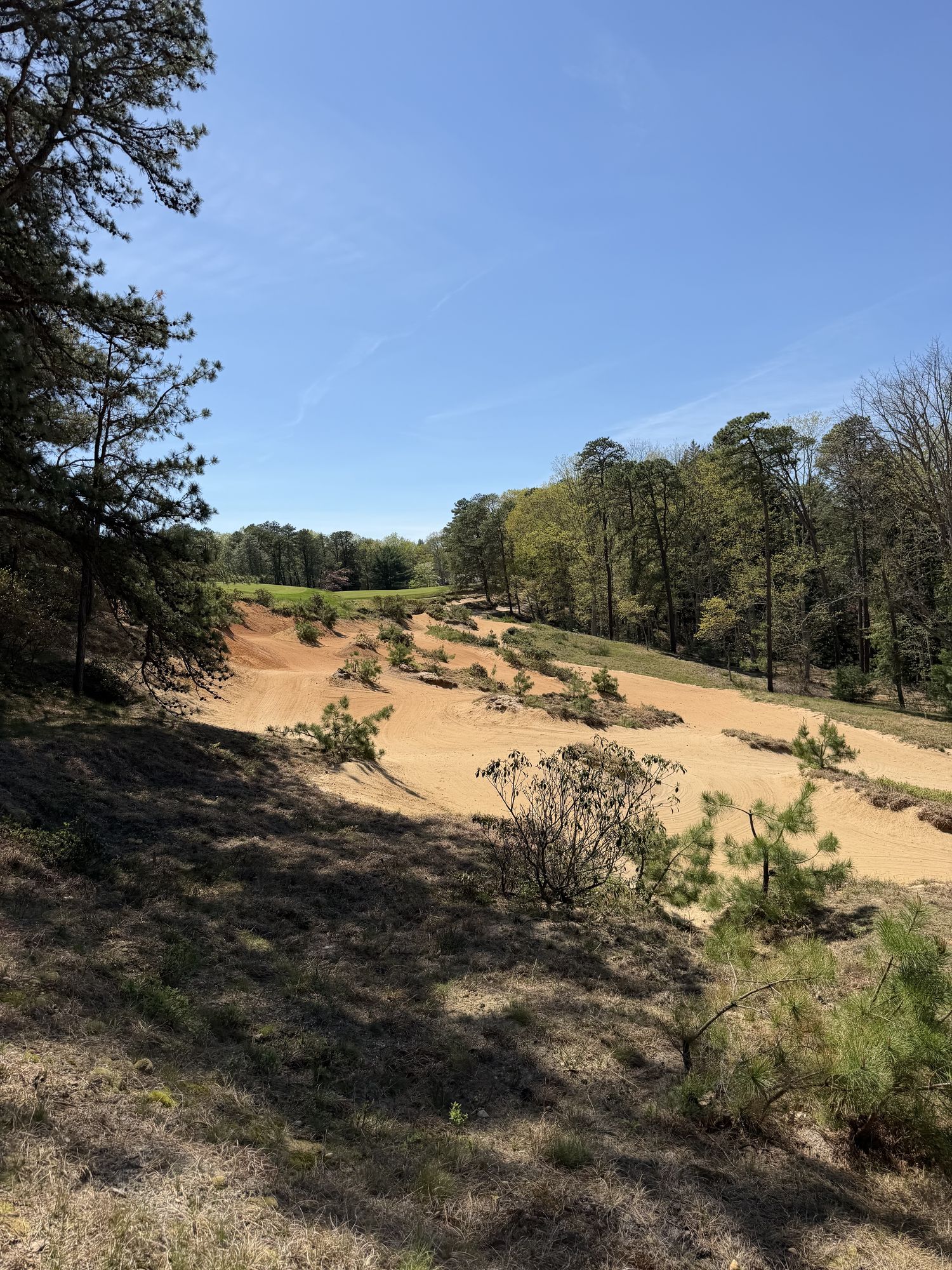 Pine Valley Golf Club, Pine Valley, New Jersey
